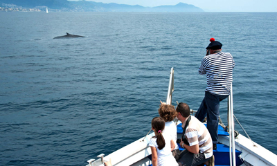 Crociera aquario di Genova